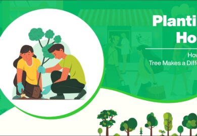 Planting Hope: How Each Tree Makes a Difference