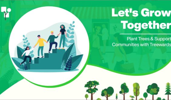 Let’s Grow Together: Plant Trees and Support Communities with Treewards