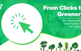 From Clicks to Greenery: How Treewards Users are Transforming the World