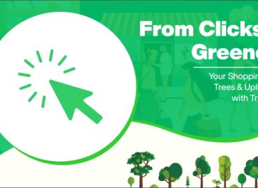 From Clicks to Greenery: How Treewards Users are Transforming the World
