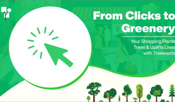 From Clicks to Greenery: How Treewards Users are Transforming the World