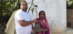 Tree Plantation Drive