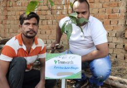 Tree Plantation Drive Story 17 – How Treewards aided Krishna Kumar Bhargava
