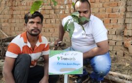 Tree Plantation Drive Story 17 – How Treewards aided Krishna Kumar Bhargava