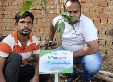 Tree Plantation Drive Story 17 – How Treewards aided Krishna Kumar Bhargava
