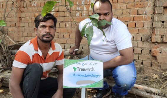 Tree Plantation Drive Story 17 – How Treewards aided Krishna Kumar Bhargava