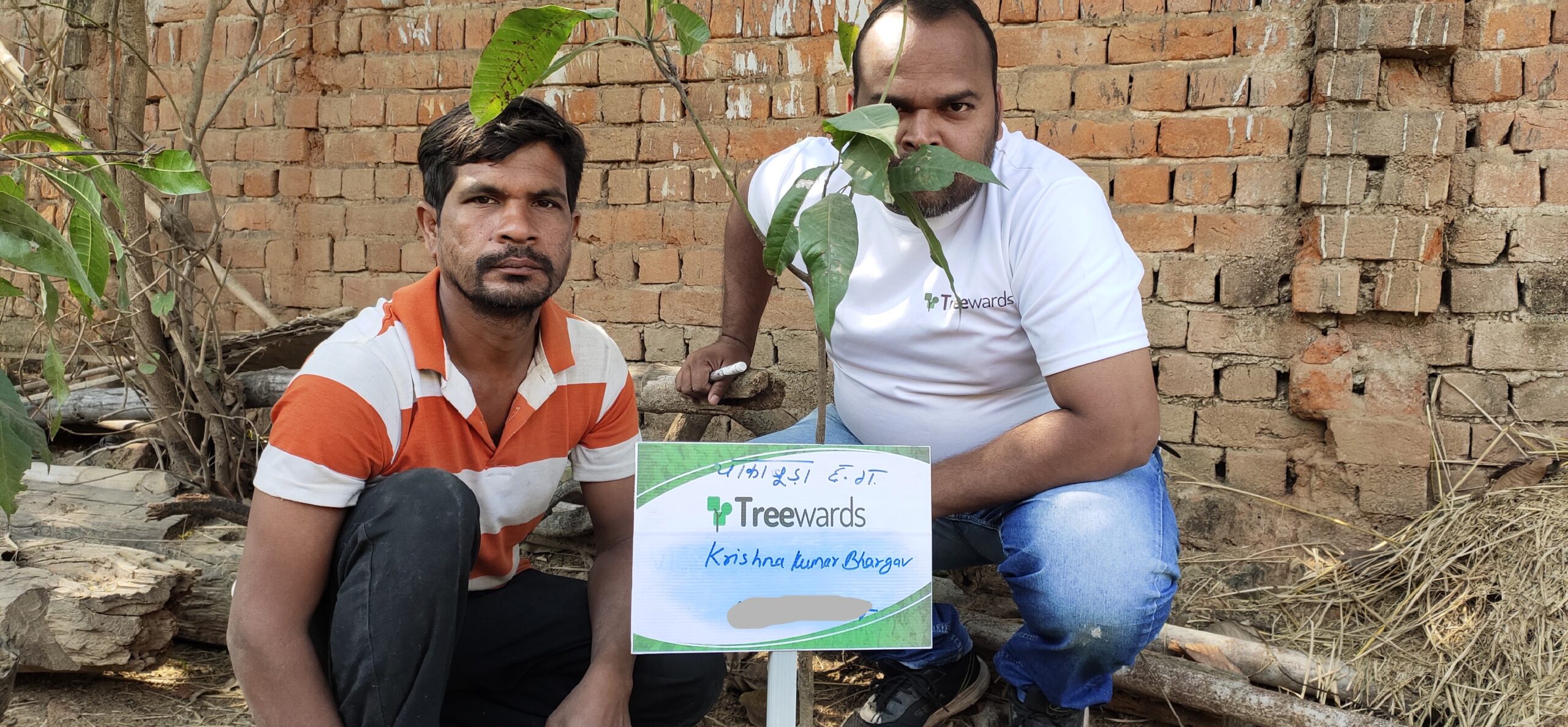 Tree Plantation Drive Story 17 – How Treewards aided Krishna Kumar Bhargava