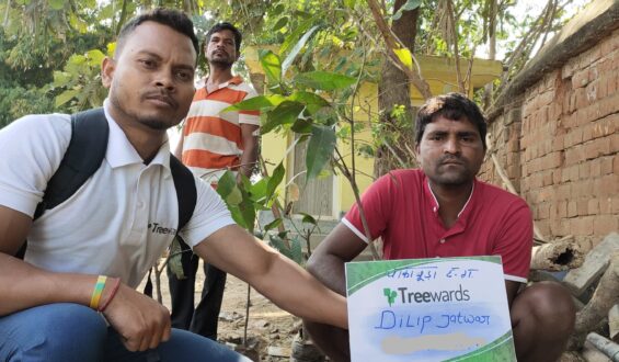 Tree Plantation Drive Story 18 – How Treewards helped Dilip Jatwar
