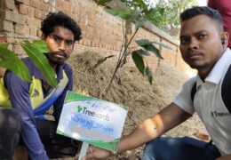 Tree Plantation Drive Story 19 – How Treewards contributed Sanjay Jatwar