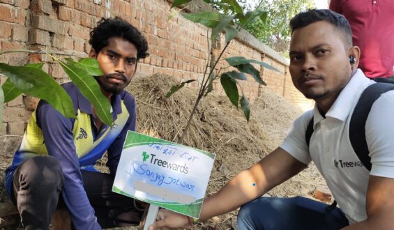 Tree Plantation Drive Story 19 – How Treewards contributed Sanjay Jatwar