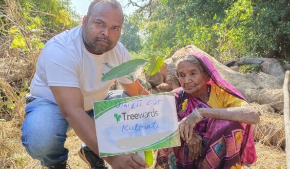 Tree Plantation Drive Story 21 – How Treewards contributed Kulmati
