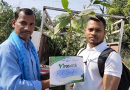 Tree Plantation Drive Story 23 – How Treewards contributed RP Singh
