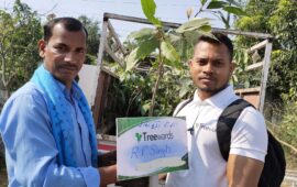 Tree Plantation Drive Story 23 – How Treewards contributed RP Singh