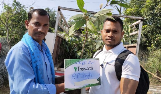 Tree Plantation Drive Story 23 – How Treewards contributed RP Singh