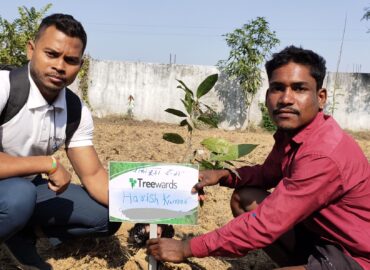 Tree Plantation Drive Story 24 – How Treewards helped Harish Kumar