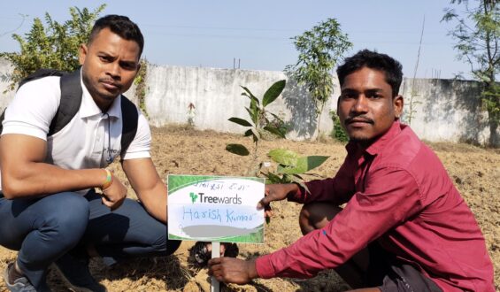 Tree Plantation Drive Story 24 – How Treewards helped Harish Kumar