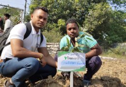 Tree Plantation Drive Story 25 – How Treewards aided Gulshan Kumar