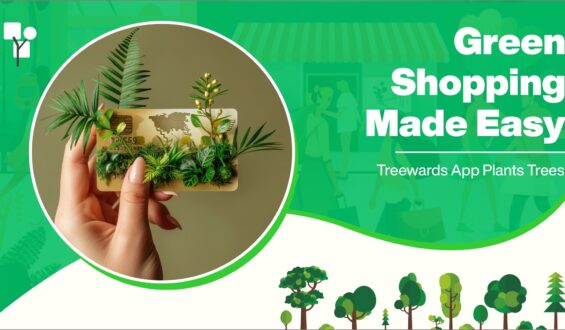 Green Shopping Made Easy: Treewards App Plants Trees