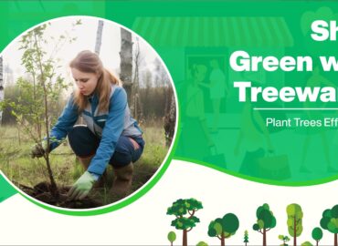 Shop Green with Treewards: Plant Trees Effortlessly