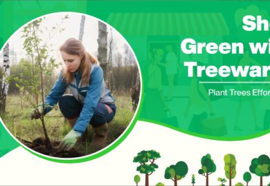 Shop Green with Treewards: Plant Trees Effortlessly