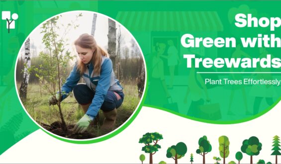 Shop Green with Treewards: Plant Trees Effortlessly