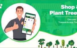 Shop and Plant Trees: Discover the Treewards App Today!