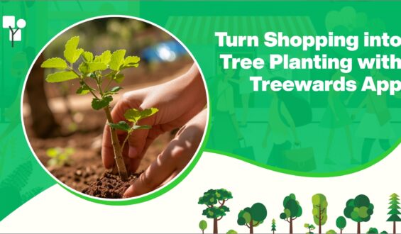 Turn Shopping into Tree Planting with Treewards App