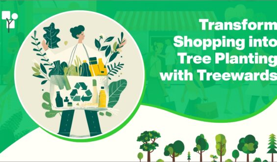 Transform Shopping into Tree Planting with Treewards