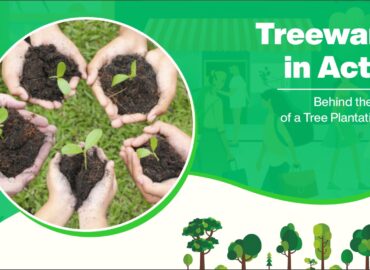 Treewards in Action: Behind the Scenes of a Tree Plantation Drive