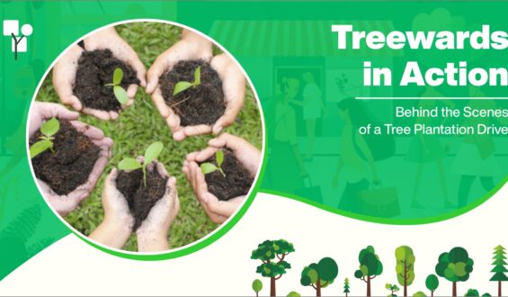 Treewards in Action: Behind the Scenes of a Tree Plantation Drive