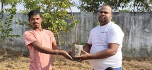 Tree Plantation Drive
