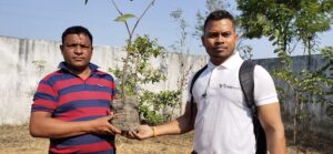 Tree Plantation Drive