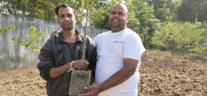 Tree Plantation Drive
