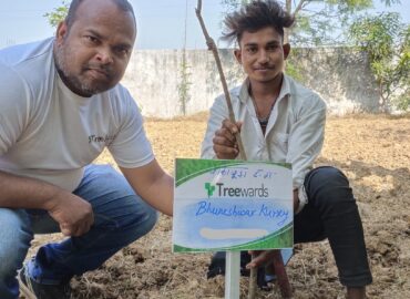 Tree Plantation Drive Story 28 – How Treewards aided Bhuneshwar Kurxy
