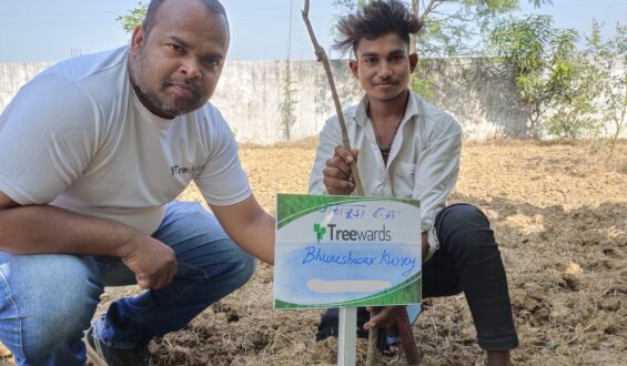 Tree Plantation Drive Story 28 – How Treewards aided Bhuneshwar Kurxy