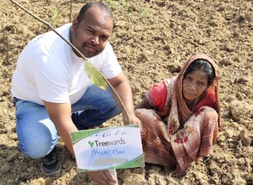 Tree Plantation Drive Story 31 – How Treewards contributed Bhuri Bai