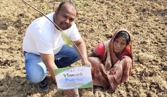 Tree Plantation Drive Story 31 – How Treewards contributed Bhuri Bai