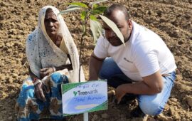 Tree Plantation Drive Story 32 – How Treewards aided Teej Kunwar