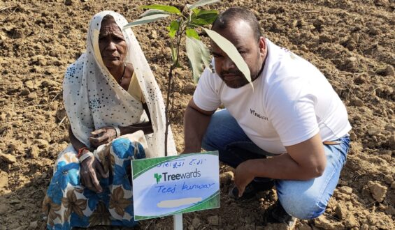 Tree Plantation Drive Story 32 – How Treewards aided Teej Kunwar