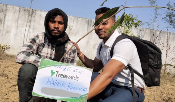 Tree Plantation Drive Story 35 – How Treewards helped Rakesh Kamrow
