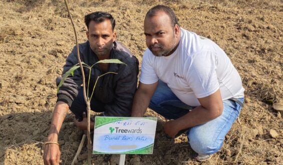 Tree Plantation Drive Story 36 – How Treewards aided Bunel Ram Patel