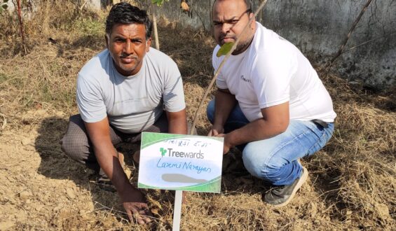 Tree Plantation Drive Story 37 – How Treewards helped Laxmi Narayan