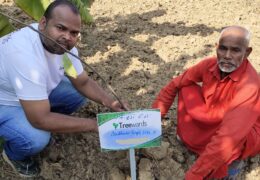 Tree Plantation Drive Story 38 – How Treewards aided Budhwar Singh Ji