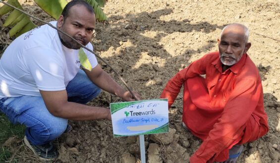 Tree Plantation Drive Story 38 – How Treewards aided Budhwar Singh Ji