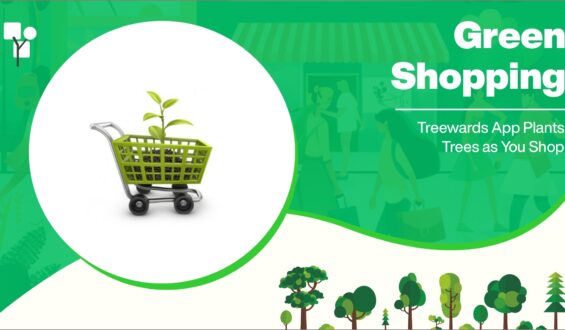 Green Shopping: Treewards App Plants Trees as You Shop