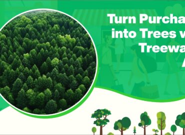 Turn Purchases into Trees with Treewards App