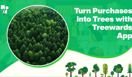Turn Purchases into Trees with Treewards App