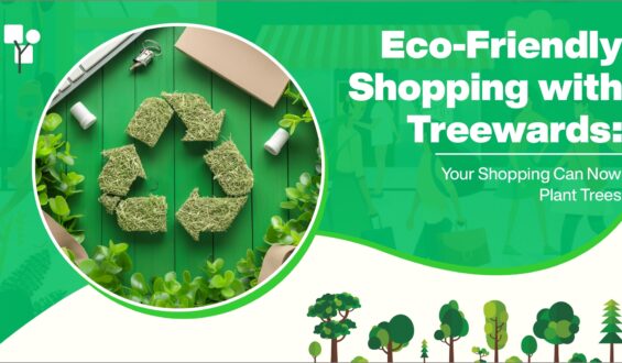 Eco-Friendly Shopping with Treewards: Plant Trees as You Buy