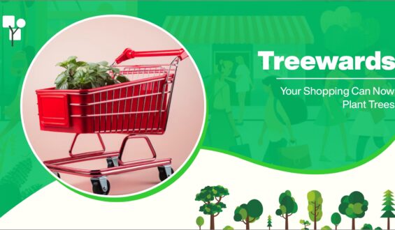 Treewards: Your Shopping Can Now Plant Trees