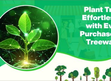 Plant Trees Effortlessly with Every Purchase on Treewards